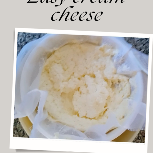 Easy homemade cream cheese